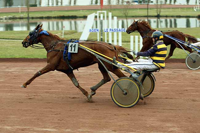 Arrivée quinté pmu GRAND PRIX DURAN DYNAVENA à AGEN LE PASSAGE