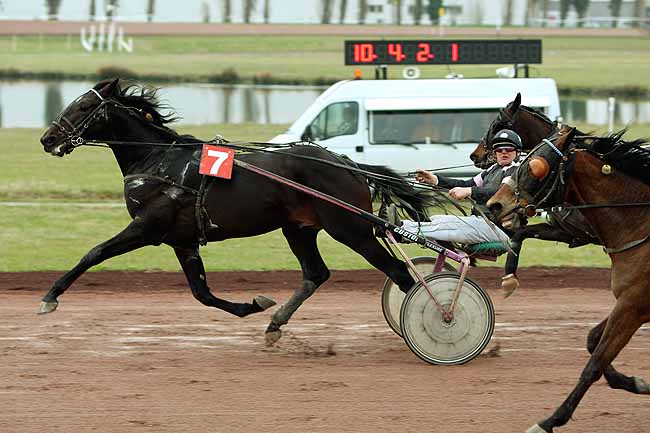 Arrivée quinté pmu PRIX HIPPOFORME (GR A) à AGEN LE PASSAGE