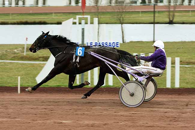 Arrivée quinté pmu PRIX DE LA COMMUNAUTE D'AGGLOMERATION D'AGEN à AGEN LE PASSAGE
