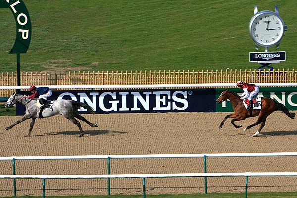 Arrivée quinté pmu PRIX DE LA CROIX NEUVE à CHANTILLY