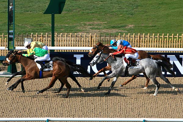 Arrivée quinté pmu PRIX DU BOIS DE PERTHE à CHANTILLY