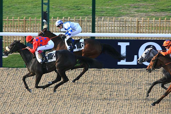 Arrivée quinté pmu PRIX MAGIC NIGHT à CHANTILLY