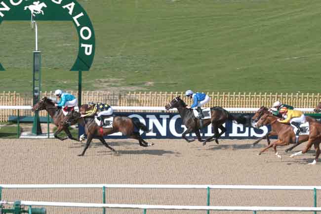 Arrivée quinté pmu PRIX DU VAL SAINT-GEORGES à CHANTILLY