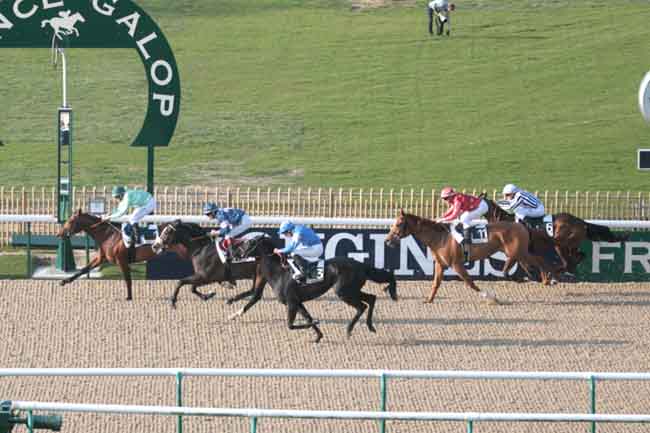 Arrivée quinté pmu PRIX DU HARAS AU BOIS à CHANTILLY