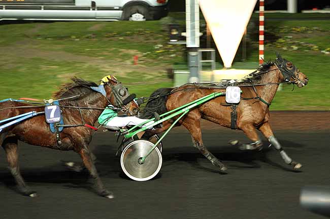 Arrivée quinté pmu PRIX MAIA à PARIS-VINCENNES