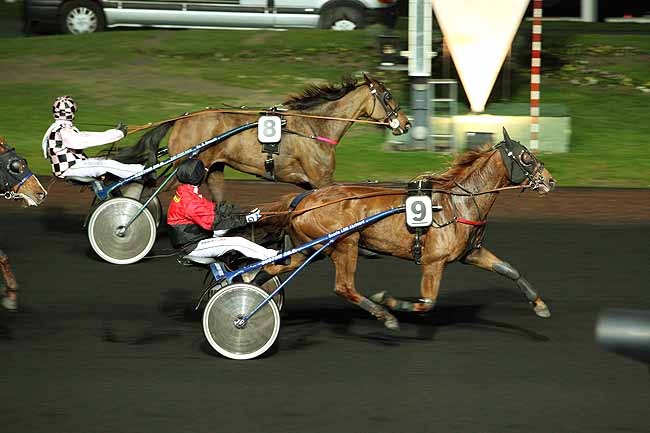 Arrivée quinté pmu PRIX CLORINDE à PARIS-VINCENNES