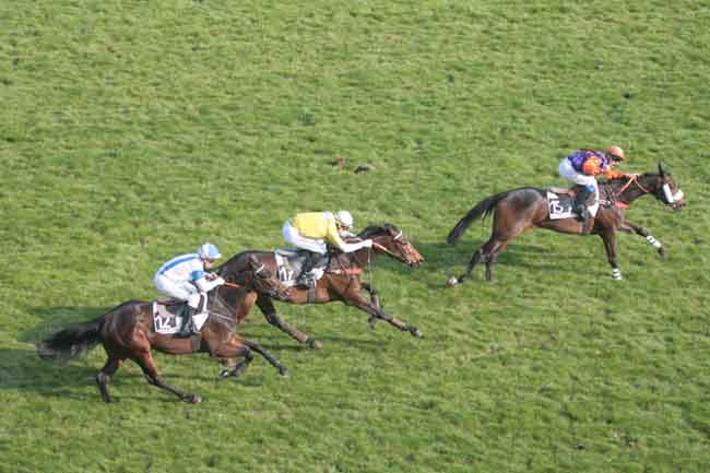 Arrivée quinté pmu PRIX ALAIN GRIMAUX à AUTEUIL