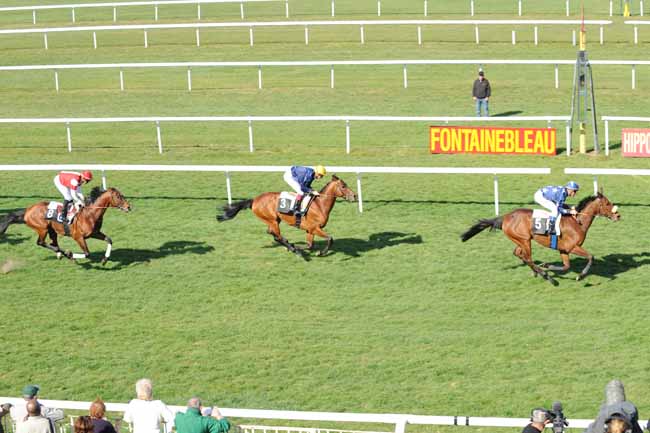 Arrivée quinté pmu PRIX DES ERABLES à FONTAINEBLEAU