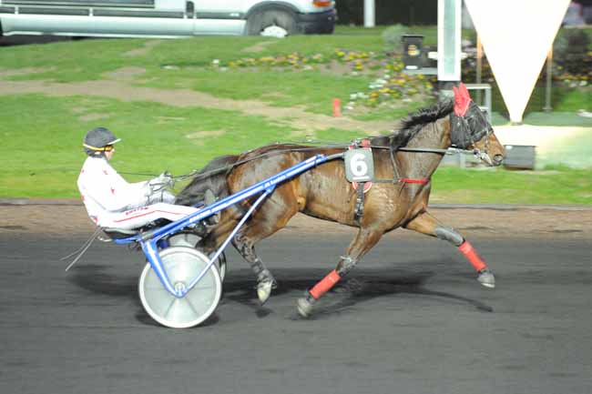 Arrivée quinté pmu PRIX APPOLONIA à PARIS-VINCENNES