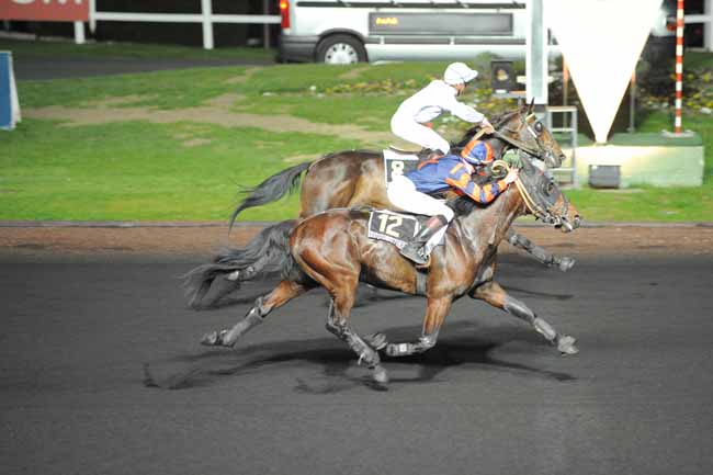 Arrivée quinté pmu PRIX ALGEIBA à PARIS-VINCENNES