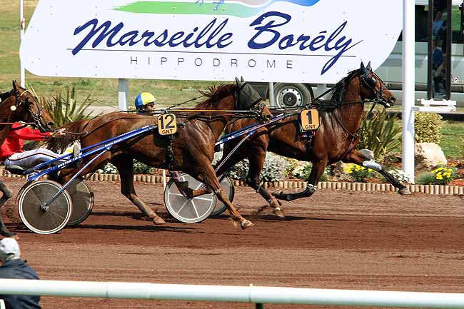 Arrivée quinté pmu PRIX GENY.COM - PARIS-TURF à MARSEILLE-BORELY