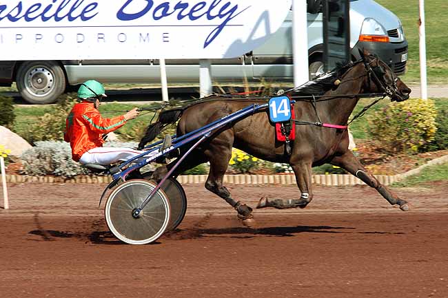 Arrivée quinté pmu PRIX D'AIX-EN-PROVENCE à MARSEILLE-BORELY
