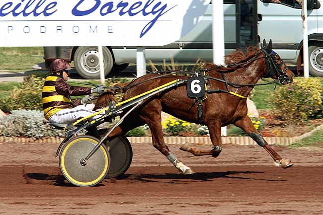 Arrivée quinté pmu PRIX DU CHATEAU D'IF à MARSEILLE-BORELY