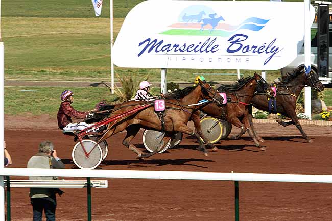 Arrivée quinté pmu PRIX DE CAGNES-SUR-MER à MARSEILLE-BORELY