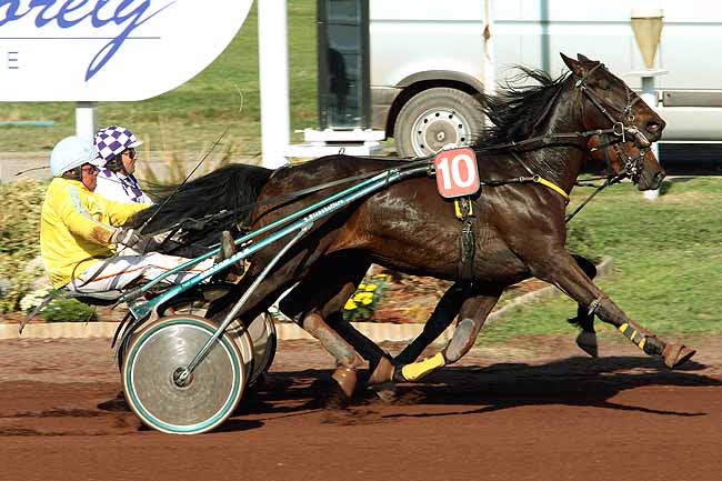 Arrivée quinté pmu PRIX DE SALON-DE-PROVENCE à MARSEILLE-BORELY