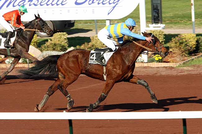 Arrivée quinté pmu PRIX DES CAVES SAINT-MARC DE CAROMB à MARSEILLE-BORELY