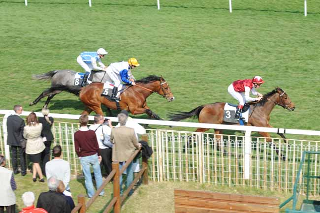 Arrivée quinté pmu PRIX DES TROIS PIGNONS à FONTAINEBLEAU