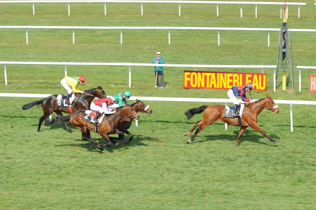 Arrivée quinté pmu PRIX DU BOIS DE VALENCE à FONTAINEBLEAU