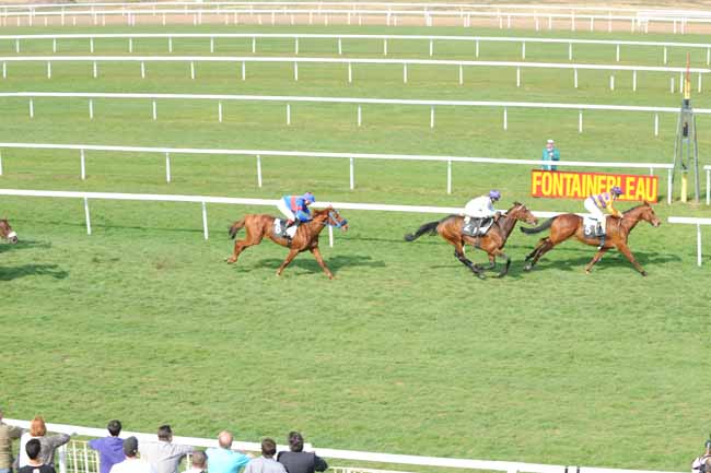 Arrivée quinté pmu PRIX ANNE FEVRE à FONTAINEBLEAU