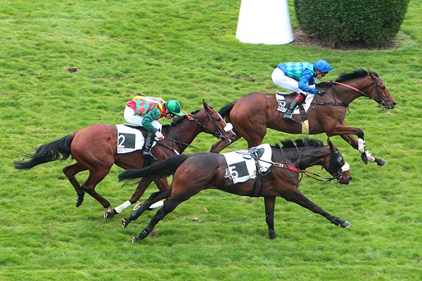 Arrivée quinté pmu PRIX FLEURET à AUTEUIL