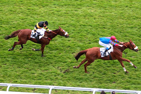 Arrivée quinté pmu PRIX ROMANTISME à AUTEUIL