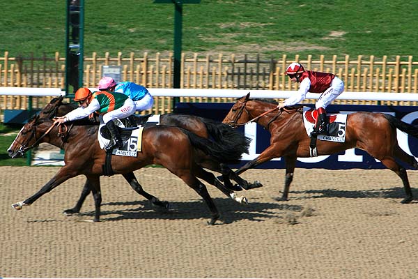 Arrivée quinté pmu PRIX DE LA TRAVERSIERE à CHANTILLY
