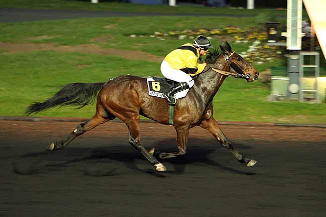 Arrivée quinté pmu PRIX ALMANON à PARIS-VINCENNES