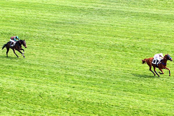 Arrivée quinté pmu PRIX LE TOUQUET à AUTEUIL