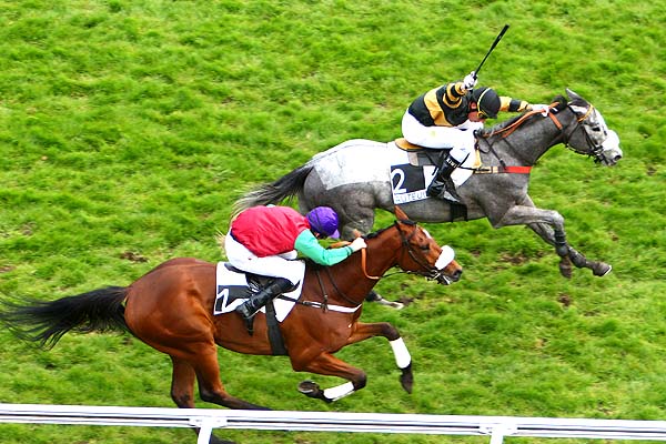 Arrivée quinté pmu PRIX CHAMPAUBERT à AUTEUIL