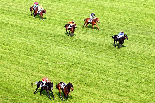 Arrivée quinté pmu PRIX THE COYOTE à AUTEUIL