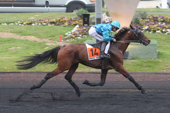 Arrivée quinté pmu PRIX DE DORCEAU à PARIS-VINCENNES