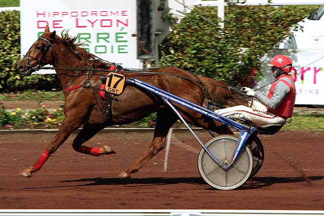 Arrivée quinté pmu PRIX GENY.COM - PARIS-TURF à LYON LA SOIE