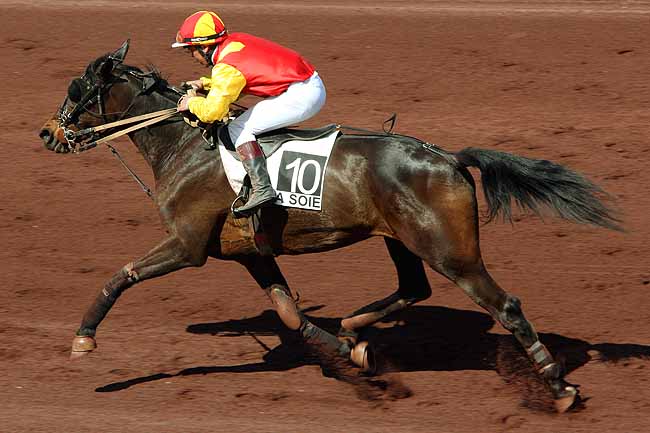 Arrivée quinté pmu GRAND PRIX DU CARRE-DE-SOIE à LYON LA SOIE