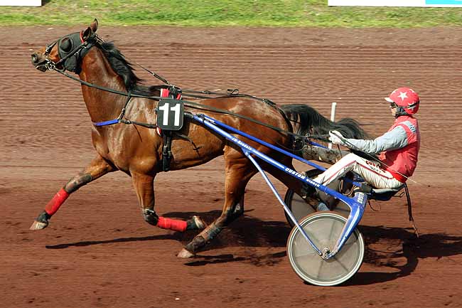 Arrivée quinté pmu PRIX DE LA CHARTREUSE à LYON LA SOIE