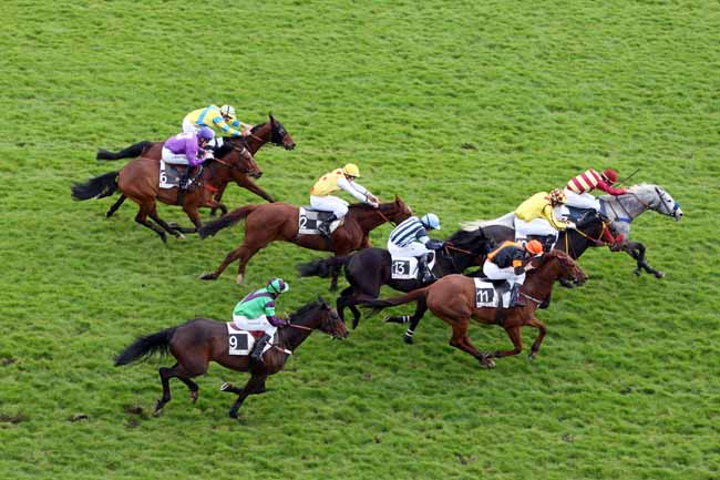 Arrivée quinté pmu PRIX LE HON à AUTEUIL