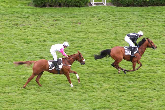 Arrivée quinté pmu PRIX DE SAUMUR à AUTEUIL