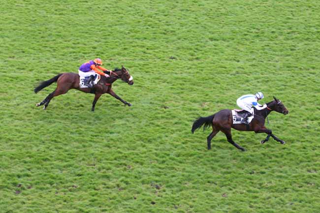 Arrivée quinté pmu PRIX TURCO à AUTEUIL