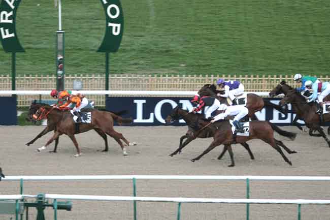 Arrivée quinté pmu PRIX DU PAVE D'AVESNE à CHANTILLY
