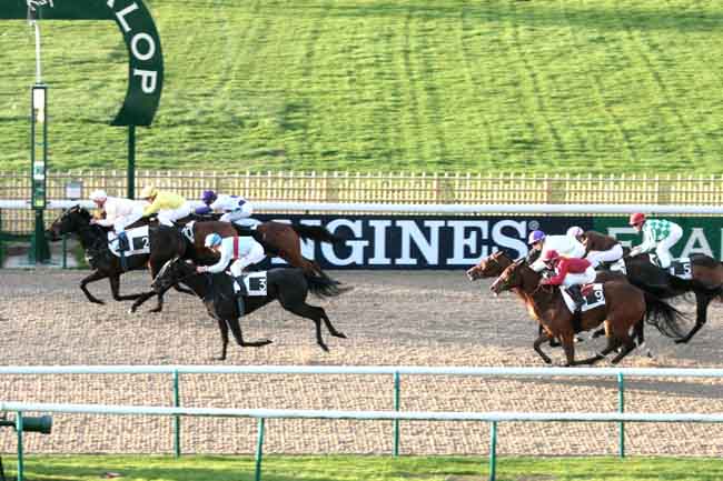 Arrivée quinté pmu PRIX DES LAYONS à CHANTILLY
