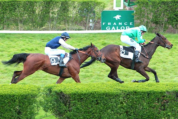 Arrivée quinté pmu PRIX LA BATE à ENGHIEN