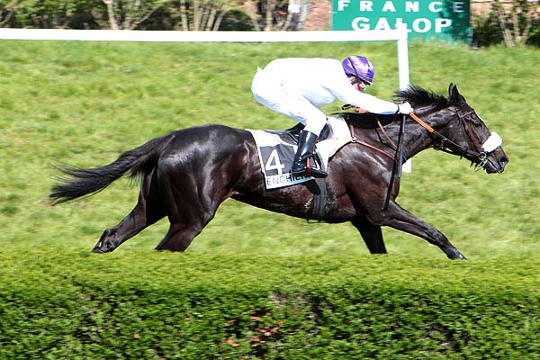 Arrivée quinté pmu PRIX ACREON à ENGHIEN