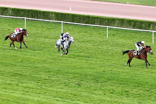 Arrivée quinté pmu PRIX TREMBLEUR à ENGHIEN