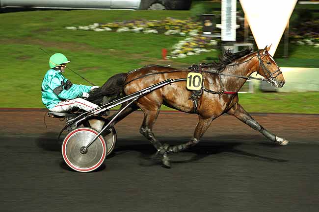 Arrivée quinté pmu PRIX HENRIETTA à PARIS-VINCENNES