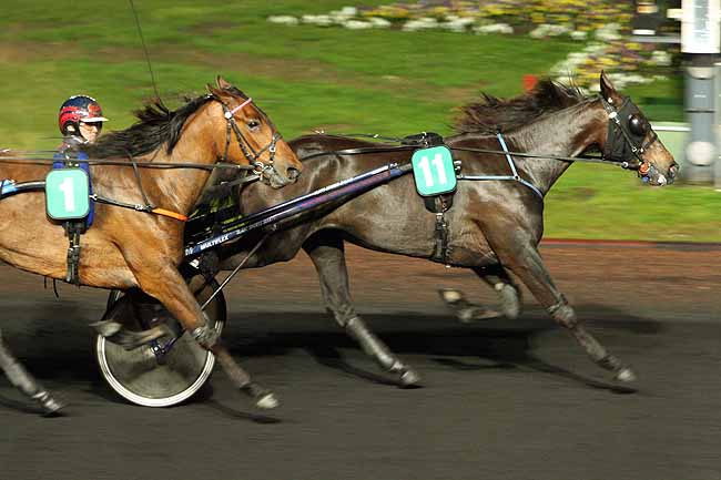 Arrivée quinté pmu PRIX PHAEO à PARIS-VINCENNES