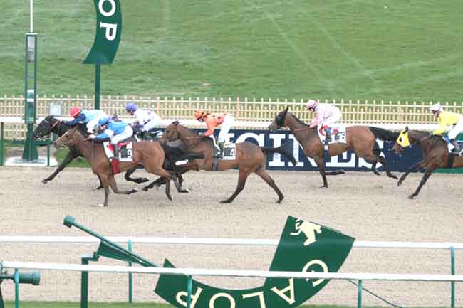 Arrivée quinté pmu PRIX DU BU à CHANTILLY