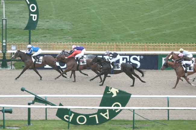 Arrivée quinté pmu PRIX DU CHAPITRE à CHANTILLY