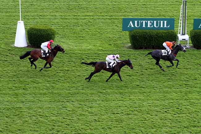Arrivée quinté pmu PRIX ARISTOTE à AUTEUIL