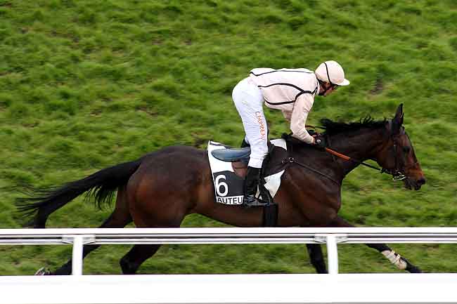 Arrivée quinté pmu PRIX DU VIVARAIS à AUTEUIL