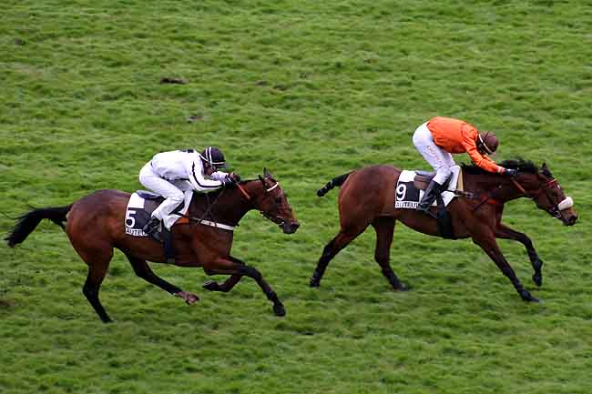 Arrivée quinté pmu PRIX SPIROU à AUTEUIL