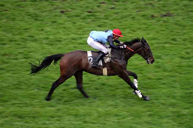 Arrivée quinté pmu PRIX RENE COUETIL à AUTEUIL